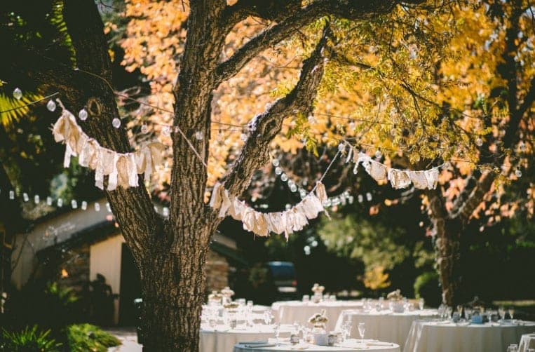 An outdoor event space set with tables beneath a tree